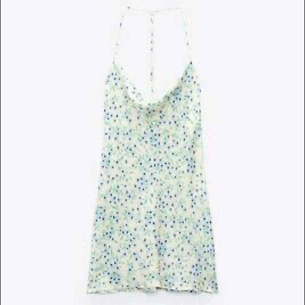 Zara dress
